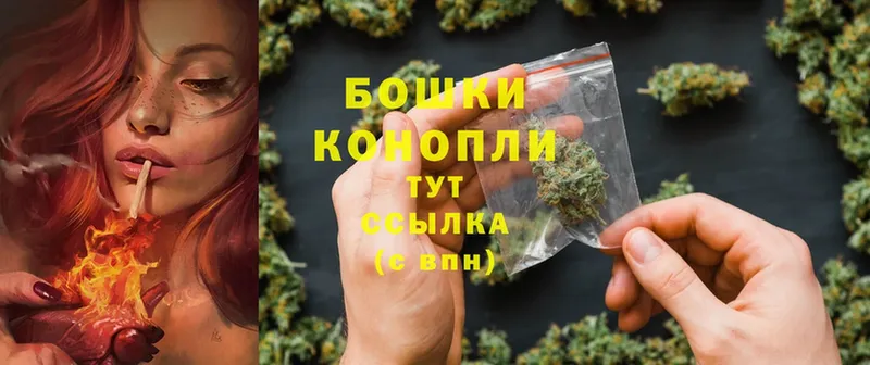 Конопля White Widow  купить наркотик  Цоци-Юрт 